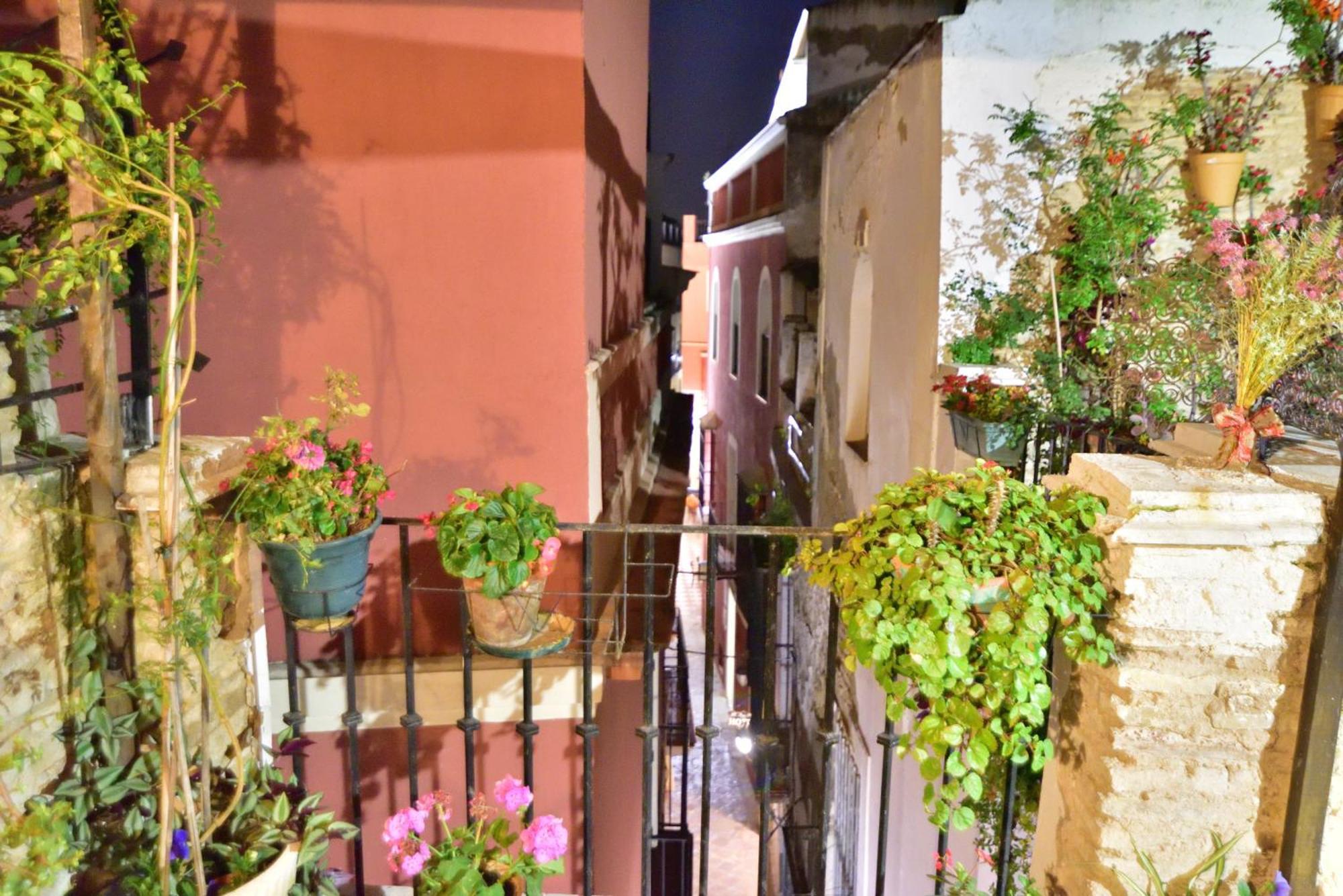Casa Tenorio Barrio De Santa Cruz Seville Exterior photo